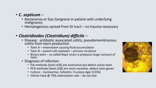 • C. septicum –
• Bacteremia or Gas Gangrene in patient with underlying
malignancy
• Hematogenous spread from GI tract – no trauma necessary
• Clostridioides (Clostridium) difficile –
• Disease: antibiotic associated colitis, pseudomembranous
colitis from toxin production
• Toxin A – enterotoxin causing fluid accumulation
• Toxin B – potent cell cytotoxin – primary virulence
• Binary toxin – so called Nap1 strain is produces larger amount of
toxin
• Diagnosis of infection:
• EIA methods [toxin A/B] are insensitive but detect active toxin
• PCR methods [toxin A/B] are more sensitive, detect toxin genes
• Culture – Cycloserine, Cefoxitin, Fructose Agar [CCFA]
• Infants have @ 70% colonization rate – do not test
 