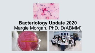 Bacteriology Update 2020
Margie Morgan, PhD, D(ABMM)
 