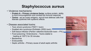Staphylococcus aureus
• Virulence mechanisms:
• Protein A – Primary virulence factor, surface protein, ability
to bind imm...