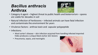 Bacillus anthracis
Anthrax
• Category A agent – highest threat to public health and bioterrorism – spores
are viable for d...