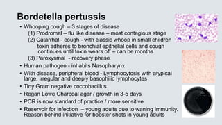Bordetella pertussis
• Whooping cough – 3 stages of disease
(1) Prodromal – flu like disease – most contagious stage
(2) C...