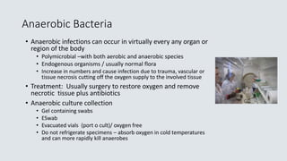 Anaerobic Bacteria
• Anaerobic infections can occur in virtually every any organ or
region of the body
• Polymicrobial –wi...