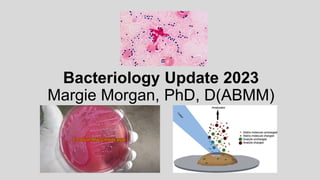Bacteriology Update 2023
Margie Morgan, PhD, D(ABMM)
 