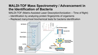 MALDI-TOF Mass Spectrometry / Advancement in
the Identification of Bacteria
MALDI-TOF (Matrix-Assisted Laser Desorption/Ionization – Time of flight)
– Identification by analyzing protein fingerprints of organisms
– Replaced many/most biochemical tests for bacteria identification
 