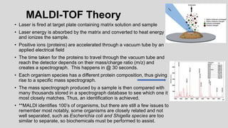 MALDI-TOF Theory
• Laser is fired at target plate containing matrix solution and sample
• Laser energy is absorbed by the matrix and converted to heat energy
and ionizes the sample.
• Positive ions (proteins) are accelerated through a vacuum tube by an
applied electrical field
• The time taken for the proteins to travel through the vacuum tube and
reach the detector depends on their mass/charge ratio (m/z) and
creates a spectrograph. This happens in @ 30 seconds.
• Each organism species has a different protein composition, thus giving
rise to a specific mass spectrograph.
• The mass spectrograph produced by a sample is then compared with
many thousands stored in a spectrograph database to see which one it
most closely matches. Thus, an identification is achieved.
• **MALDI identifies 100’s of organisms, but there are still a few issues to
remember most notably, some organisms are closely related and not
well separated, such as Escherichia coli and Shigella species are too
similar to separate, so biochemicals must be performed to assist.
 