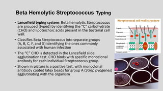 Beta Hemolytic Streptococcus Typing
• Lancefield typing system: Beta hemolytic Streptococcus
are grouped (typed) by identifying the “C” carbohydrate
(CHO) and lipoteichoic acids present in the bacterial cell
wall.
• Classifies Beta Streptococcus into separate groups
(A, B, C, F, and G) identifying the ones commonly
associated with human infection
• The “C” CHO is detected in the Lancefield slide
agglutination test. CHO binds with specific monoclonal
antibody for each individual Streptococcus group.
• Shown in picture is a positive test, with monoclonal
antibody coated latex beads for group A (Strep pyogenes)
agglutinating with the organism -
A
 
