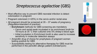 Streptococcus agalactiae (GBS)
• Most effective way to prevent GBS neonatal infection is detect
colonization in pregnant
• Pregnant colonized (>=25%) in the cervix and/or rectal area
• All pregnant should be screened at 35 – 37 weeks of pregnancy
(Regulation/standard of practice)
• Enrichment methods for GBS screening are mandatory
• Cervix and rectal swab incubated in an enrichment broth for
18 hours at 35 ˚C then cultured onto 5% sheep’s blood agar.
• Initial incubation in Enrichment broth is also used to increase
sensitivity in molecular detection assays
• Ampicillin drug of choice for prophylaxis of pregnant women
testing positive for GBS
• Susceptibility testing for alternative therapies for GBS must be
performed in the penicillin allergic patient (Clindamycin)
 