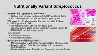 Nutritionally Variant Streptococcus
• Vitamin B6 (pyridoxal) deficient –
• Will not grow on agar medium without B6 supplementation
• Chocolate agar with supplements will support growth
• Will grow in blood culture bottle due to patient’s blood
containing vitamin B6
• Will not grow on 5% Sheep’s blood agar plate
• Will grow around Staph aureus streak, SA supplies vitamin B6
• MALDI-TOF can definitively identify
• Two genera:
• Abiotrophia defectiva
• Granulicatella adiacens
• Bacteremia and Endocarditis –
• More destructive to valve than “regular” viridans Streptococcus
• Elevated MIC’s to Penicillin, susceptible to 3rd generation
Cephalosporins.
• Combination therapy: Penicillin and Gentamicin can be effective
Satellite
next to S. aureus streak
 