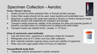Specimen Collection - Aerobic
Throat / Wound / Abscess
1. Swabs should be either polyester fiber or flocked (prickly sponge)
2. Cotton fiber swabs should not be used, traps bacteria and potentially toxic
3. Specimen is collected with swab then placed in Stuart’s or Amie’s transport media
(buffered solution with peptones) for transport and storage
4. Transport media preserves viability of the bacteria but does not promote growth of
bacteria, provides stasis of numbers prior to plating onto solid media
5. Transport media has stability limits / usually <= 72 hours
Urine (2 commonly used methods)
1. Cup with boric acid - organisms in stationary phase for transport
2. Refrigerate urine at 4*C within one hour after collection
3. Both methods maintain original colony count and viability of organisms
4. Plate urine onto agar plates within 24 hours of collection
Tissues/Sterile body fluid
1. Adequate volume transported in sterile container
 