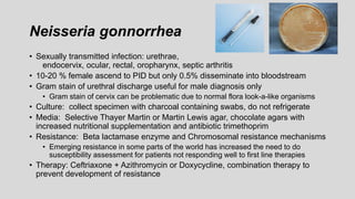 Neisseria gonnorrhea
• Sexually transmitted infection: urethrae,
endocervix, ocular, rectal, oropharynx, septic arthritis
• 10-20 % female ascend to PID but only 0.5% disseminate into bloodstream
• Gram stain of urethral discharge useful for male diagnosis only
• Gram stain of cervix can be problematic due to normal flora look-a-like organisms
• Culture: collect specimen with charcoal containing swabs, do not refrigerate
• Media: Selective Thayer Martin or Martin Lewis agar, chocolate agars with
increased nutritional supplementation and antibiotic trimethoprim
• Resistance: Beta lactamase enzyme and Chromosomal resistance mechanisms
• Emerging resistance in some parts of the world has increased the need to do
susceptibility assessment for patients not responding well to first line therapies
• Therapy: Ceftriaxone + Azithromycin or Doxycycline, combination therapy to
prevent development of resistance
 