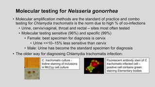 Molecular testing for Neisseria gonorrhea
• Molecular amplification methods are the standard of practice and combo
testing for Chlamydia trachomatis is the norm due to high % of co-infections
• Urine, cervix/vaginal, throat and rectal – sites most often tested
• Molecular testing sensitive (96%) and specific (99%)
• Female: best specimen for diagnosis is cervix
• Urine <=10–15% less sensitive than cervix
• Male: Urine has become the standard specimen for diagnosis
• The older way for diagnosing Chlamydia trachomatis infection:
C. trachomatis culture -
Iodine staining of inclusions
in McCoy cell culture
Fluorescent antibody stain of C.
trachomatis infected cell –
positive cell contains green
staining Elementary bodies
 