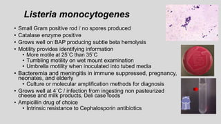 Listeria monocytogenes
• Small Gram positive rod / no spores produced
• Catalase enzyme positive
• Grows well on BAP producing subtle beta hemolysis
• Motility provides identifying information
• More motile at 25˚C than 35˚C
• Tumbling motility on wet mount examination
• Umbrella motility when inoculated into tubed media
• Bacteremia and meningitis in immune suppressed, pregnancy,
neonates, and elderly
• Culture or molecular amplification methods for diagnosis
• Grows well at 4˚C / infection from ingesting non pasteurized
cheese and milk products, Deli case foods
• Ampicillin drug of choice
• Intrinsic resistance to Cephalosporin antibiotics
 
