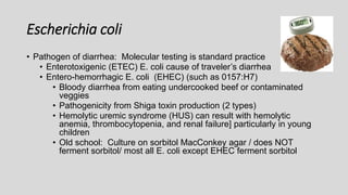 Escherichia coli
• Pathogen of diarrhea: Molecular testing is standard practice
• Enterotoxigenic (ETEC) E. coli cause of traveler’s diarrhea
• Entero-hemorrhagic E. coli (EHEC) (such as 0157:H7)
• Bloody diarrhea from eating undercooked beef or contaminated
veggies
• Pathogenicity from Shiga toxin production (2 types)
• Hemolytic uremic syndrome (HUS) can result with hemolytic
anemia, thrombocytopenia, and renal failure] particularly in young
children
• Old school: Culture on sorbitol MacConkey agar / does NOT
ferment sorbitol/ most all E. coli except EHEC ferment sorbitol
 