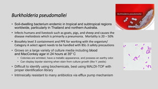 Burkholderia pseudomallei
• Soil-dwelling bacterium endemic in tropical and subtropical regions
worldwide, particularly in Thailand and northern Australia.
• Infects humans and livestock such as goats, pigs, and sheep and causes the
disease melioidosis which is primarily a pneumonia. Mortality is 20 – 50%
• Biosafety level 3 containment and PPE for working with the organism/
Category A select agent needs to be handled with BSL-3 safety precautions
• Grows on a large variety of culture media including blood
and MacConkey agar in 24 hours at 35* C
• Colonies are wrinkled, have a metallic appearance, and possess an earthy odor.
• Can display bipolar staining when stain from culture growth (like Y. pestis)
• Difficult to identify using biochemicals, best using MALDI-TOF with
proper identification library
• Intrinsically resistant to many antibiotics via efflux pump mechanism
 