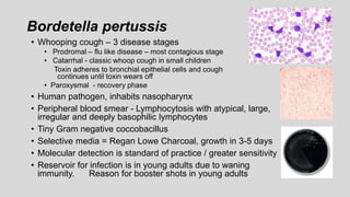 Bordetella pertussis
• Whooping cough – 3 disease stages
• Prodromal – flu like disease – most contagious stage
• Catarrhal - classic whoop cough in small children
Toxin adheres to bronchial epithelial cells and cough
continues until toxin wears off
• Paroxysmal - recovery phase
• Human pathogen, inhabits nasopharynx
• Peripheral blood smear - Lymphocytosis with atypical, large,
irregular and deeply basophilic lymphocytes
• Tiny Gram negative coccobacillus
• Selective media = Regan Lowe Charcoal, growth in 3-5 days
• Molecular detection is standard of practice / greater sensitivity
• Reservoir for infection is in young adults due to waning
immunity. Reason for booster shots in young adults
 