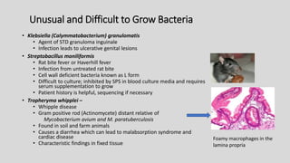 Unusual and Difficult to Grow Bacteria
• Klebsiella (Calymmatobacterium) granulomatis
• Agent of STD granuloma inguinale
• Infection leads to ulcerative genital lesions
• Streptobacillus moniliformis
• Rat bite fever or Haverhill fever
• Infection from untreated rat bite
• Cell wall deficient bacteria known as L form
• Difficult to culture; inhibited by SPS in blood culture media and requires
serum supplementation to grow
• Patient history is helpful, sequencing if necessary
• Tropheryma whipplei –
• Whipple disease
• Gram positive rod (Actinomycete) distant relative of
Mycobacterium avium and M. paratuberculosis
• Found in soil and farm animals
• Causes a diarrhea which can lead to malabsorption syndrome and
cardiac disease
• Characteristic findings in fixed tissue
Foamy macrophages in the
lamina propria
 