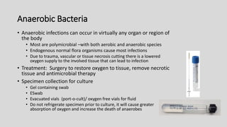 Anaerobic Bacteria
• Anaerobic infections can occur in virtually any organ or region of
the body
• Most are polymicrobial –with both aerobic and anaerobic species
• Endogenous normal flora organisms cause most infections
• Due to trauma, vascular or tissue necrosis cutting there is a lowered
oxygen supply to the involved tissue that can lead to infection
• Treatment: Surgery to restore oxygen to tissue, remove necrotic
tissue and antimicrobial therapy
• Specimen collection for culture
• Gel containing swab
• ESwab
• Evacuated vials (port-o-cult)/ oxygen free vials for fluid
• Do not refrigerate specimen prior to culture, it will cause greater
absorption of oxygen and increase the death of anaerobes
 