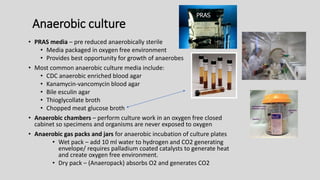 Anaerobic culture
• PRAS media – pre reduced anaerobically sterile
• Media packaged in oxygen free environment
• Provides best opportunity for growth of anaerobes
• Most common anaerobic culture media include:
• CDC anaerobic enriched blood agar
• Kanamycin-vancomycin blood agar
• Bile esculin agar
• Thioglycollate broth
• Chopped meat glucose broth
• Anaerobic chambers – perform culture work in an oxygen free closed
cabinet so specimens and organisms are never exposed to oxygen
• Anaerobic gas packs and jars for anaerobic incubation of culture plates
• Wet pack – add 10 ml water to hydrogen and CO2 generating
envelope/ requires palladium coated catalysts to generate heat
and create oxygen free environment.
• Dry pack – (Anaeropack) absorbs O2 and generates CO2
PRAS
 