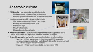 Anaerobic culture
• PRAS media – pre reduced anaerobically sterile
• Media packaged in oxygen free environment
• Provides good environment for growth of anaerobes
• Most common anaerobic culture media include:
• CDC anaerobic enriched Sheep”s blood agar
• Kanamycin-vancomycin blood agar
• Bile esculin agar
• Thioglycolate broth
• Chopped meat glucose broth
• Anaerobic chambers – Culture workup performed in an oxygen free closed
cabinet, specimens and organisms are never exposed to oxygen
• Anaerobic gas packs and jars for anaerobic incubation of culture plates
• Wet pack – 10 ml water added to hydrogen and CO2 generating
envelope/ requires palladium coated catalyst in jar lid to generate heat
and activate oxygen free environment.
• Dry pack – (Anaeropack) absorbs O2 and generates CO2
PRAS
 