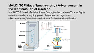 MALDI-TOF Mass Spectrometry / Advancement in
the Identification of Bacteria
MALDI-TOF (Matrix-Assisted Laser Desorption/Ionization – Time of flight)
–Identification by analyzing protein fingerprints of organisms
–Replaced many/most biochemical tests for bacteria identification
 
