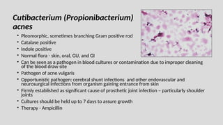 Cutibacterium (Propionibacterium)
acnes
• Pleomorphic, sometimes branching Gram positive rod
• Catalase positive
• Indole positive
• Normal flora - skin, oral, GU, and GI
• Can be seen as a pathogen in blood cultures or contamination due to improper cleaning
of the blood draw site
• Pathogen of acne vulgaris
• Opportunistic pathogen: cerebral shunt infections and other endovascular and
neurosurgical infections from organism gaining entrance from skin
• Firmly established as significant cause of prosthetic joint infection – particularly shoulder
joints
• Cultures should be held up to 7 days to assure growth
• Therapy - Ampicillin
 