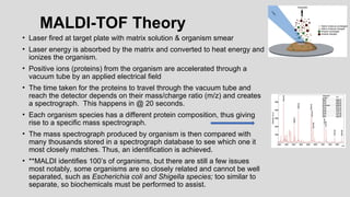 MALDI-TOF Theory
• Laser fired at target plate with matrix solution & organism smear
• Laser energy is absorbed by the matrix and converted to heat energy and
ionizes the organism.
• Positive ions (proteins) from the organism are accelerated through a
vacuum tube by an applied electrical field
• The time taken for the proteins to travel through the vacuum tube and
reach the detector depends on their mass/charge ratio (m/z) and creates
a spectrograph. This happens in @ 20 seconds.
• Each organism species has a different protein composition, thus giving
rise to a specific mass spectrograph.
• The mass spectrograph produced by organism is then compared with
many thousands stored in a spectrograph database to see which one it
most closely matches. Thus, an identification is achieved.
• **MALDI identifies 100’s of organisms, but there are still a few issues
most notably, some organisms are so closely related and cannot be well
separated, such as Escherichia coli and Shigella species; too similar to
separate, so biochemicals must be performed to assist.
 