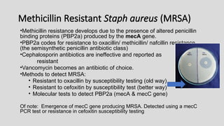 Methicillin Resistant Staph aureus (MRSA)
•Methicillin resistance develops due to the presence of altered penicillin
binding proteins (PBP2a) produced by the mecA gene.
•PBP2a codes for resistance to oxacillin/ methicillin/ nafcillin resistance
(the semisynthetic penicillin antibiotic class)
•Cephalosporin antibiotics are ineffective and reported as
resistant
•Vancomycin becomes an antibiotic of choice.
•Methods to detect MRSA:
• Resistant to oxacillin by susceptibility testing (old way)
• Resistant to cefoxitin by susceptibility test (better way)
• Molecular tests to detect PBP2a (mecA & mecC gene)
Of note: Emergence of mecC gene producing MRSA. Detected using a mecC
PCR test or resistance in cefoxitin susceptibility testing
 