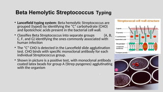 Beta Hemolytic Streptococcus Typing
• Lancefield typing system: Beta hemolytic Streptococcus are
grouped (typed) by identifying the “C” carbohydrate (CHO)
and lipoteichoic acids present in the bacterial cell wall.
• Classifies Beta Streptococcus into separate groups (A, B,
C, F, and G) identifying the ones commonly associated with
human infection
• The “C” CHO is detected in the Lancefield slide agglutination
test. CHO binds with specific monoclonal antibody for each
individual Streptococcus group.
• Shown in picture is a positive test, with monoclonal antibody
coated latex beads for group A (Strep pyogenes) agglutinating
with the organism
-
A
 
