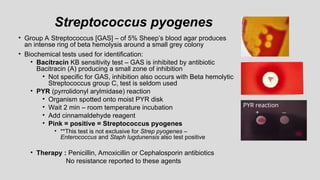 Streptococcus pyogenes
• Group A Streptococcus [GAS] – of 5% Sheep’s blood agar produces
an intense ring of beta hemolysis around a small grey colony
• Biochemical tests used for identification:
• Bacitracin KB sensitivity test – GAS is inhibited by antibiotic
Bacitracin (A) producing a small zone of inhibition
• Not specific for GAS, inhibition also occurs with Beta hemolytic
Streptococcus group C, test is seldom used
• PYR (pyrrolidonyl arylmidase) reaction
• Organism spotted onto moist PYR disk
• Wait 2 min – room temperature incubation
• Add cinnamaldehyde reagent
• Pink = positive = Streptococcus pyogenes
• **This test is not exclusive for Strep pyogenes –
Enterococcus and Staph lugdunensis also test positive
• Therapy : Penicillin, Amoxicillin or Cephalosporin antibiotics
No resistance reported to these agents
PYR reaction
+ --
 