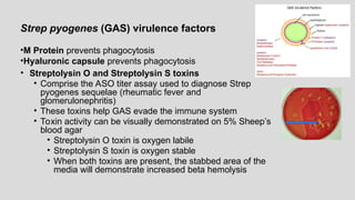 • Streptolysin O and Streptolysin S toxins
• Comprise the ASO titer assay used to diagnose Strep
pyogenes sequelae (rheumatic fever and
glomerulonephritis)
• These toxins help GAS evade the immune system
• Toxin activity can be visually demonstrated on 5% Sheep’s
blood agar
• Streptolysin O toxin is oxygen labile
• Streptolysin S toxin is oxygen stable
• When both toxins are present, the stabbed area of the
media will demonstrate increased beta hemolysis
Strep pyogenes (GAS) virulence factors
•M Protein prevents phagocytosis
•Hyaluronic capsule prevents phagocytosis
 