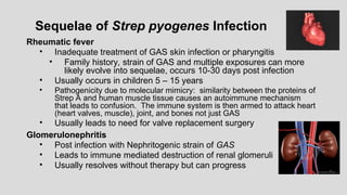 Sequelae of Strep pyogenes Infection
Rheumatic fever
• Inadequate treatment of GAS skin infection or pharyngitis
• Family history, strain of GAS and multiple exposures can more
likely evolve into sequelae, occurs 10-30 days post infection
• Usually occurs in children 5 – 15 years
• Pathogenicity due to molecular mimicry: similarity between the proteins of
Strep A and human muscle tissue causes an autoimmune mechanism
that leads to confusion. The immune system is then armed to attack heart
(heart valves, muscle), joint, and bones not just GAS
• Usually leads to need for valve replacement surgery
Glomerulonephritis
• Post infection with Nephritogenic strain of GAS
• Leads to immune mediated destruction of renal glomeruli
• Usually resolves without therapy but can progress
 