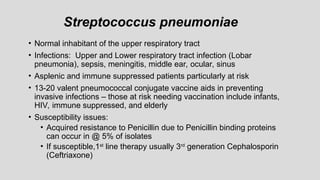 Streptococcus pneumoniae
• Normal inhabitant of the upper respiratory tract
• Infections: Upper and Lower respiratory tract infection (Lobar
pneumonia), sepsis, meningitis, middle ear, ocular, sinus
• Asplenic and immune suppressed patients particularly at risk
• 13-20 valent pneumococcal conjugate vaccine aids in preventing
invasive infections – those at risk needing vaccination include infants,
HIV, immune suppressed, and elderly
• Susceptibility issues:
• Acquired resistance to Penicillin due to Penicillin binding proteins
can occur in @ 5% of isolates
• If susceptible,1st
line therapy usually 3rd
generation Cephalosporin
(Ceftriaxone)
 