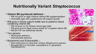 Nutritionally Variant Streptococcus
• Vitamin B6 (pyridoxal) deficient –
• Will not grow on agar medium without B6 supplementation
• Chocolate agar with supplements will support growth
• Will grow in blood culture bottle due to patient’s blood
containing vitamin B6
• Will not grow on 5% Sheep’s blood agar plate
• Will grow around Staph aureus streak for it supplies vitamin B6
• MALDI-TOF can definitively identify
• Two genera:
• Abiotrophia defectiva
• Granulicatella adiacens
• Bacteremia and Endocarditis –
• More destructive to valve than viridans Streptococcus species
• Elevated MIC’s to Penicillin, susceptible to 3rd
generation
Cephalosporins.
Satellite
next to S. aureus streak
 