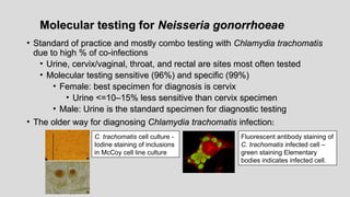 Molecular testing for
Molecular testing for Neisseria gonorrhoeae
Neisseria gonorrhoeae
• Standard of practice and mostly combo testing with
Standard of practice and mostly combo testing with Chlamydia trachomatis
Chlamydia trachomatis
due to high % of co-infections
due to high % of co-infections
• Urine, cervix/vaginal, throat, and rectal are sites most often tested
Urine, cervix/vaginal, throat, and rectal are sites most often tested
• Molecular testing sensitive (96%) and specific (99%)
Molecular testing sensitive (96%) and specific (99%)
• Female: best specimen for diagnosis is cervix
Female: best specimen for diagnosis is cervix
• Urine <=10–15% less sensitive than cervix specimen
Urine <=10–15% less sensitive than cervix specimen
• Male: Urine is the standard specimen for diagnostic testing
Male: Urine is the standard specimen for diagnostic testing
• The older way for diagnosing
The older way for diagnosing Chlamydia trachomatis
Chlamydia trachomatis infection
infection:
:
C. trachomatis cell culture -
Iodine staining of inclusions
in McCoy cell line culture
Fluorescent antibody staining of
C. trachomatis infected cell –
green staining Elementary
bodies indicates infected cell.
 