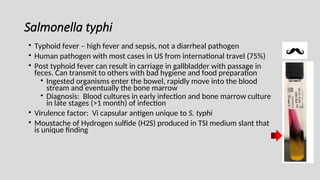 Salmonella typhi
• Typhoid fever – high fever and sepsis, not a diarrheal pathogen
• Human pathogen with most cases in US from international travel (75%)
• Post typhoid fever can result in carriage in gallbladder with passage in
feces. Can transmit to others with bad hygiene and food preparation
• Ingested organisms enter the bowel, rapidly move into the blood
stream and eventually the bone marrow
• Diagnosis: Blood cultures in early infection and bone marrow culture
in late stages (>1 month) of infection
• Virulence factor: Vi capsular antigen unique to S. typhi
• Moustache of Hydrogen sulfide (H2S) produced in TSI medium slant that
is unique finding
 