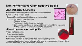 Acinetobacter baumannii
•Environmental saprophyte and normal flora on human skin
•Gram negative coccoid-bacilli
•Does not ferment lactose / Oxidase enzyme negative
•Opportunistic nosocomial pathogen
• Glucose oxidizer
• Pulmonary infection in vented patients
• Can acquire resistance to many antibiotics from antibiotic exposure
CRAB – Carbapenemase resistant Ac. baumannii
Stenotrophomonas maltophilia
•Rapid maltose oxidizer
•Gram negative bacillus
•Gun metal gray pigment
•Intrinsically resistant to many antibiotics, including carbapenems
•Nosocomial pathogen: super-colonizer after long term carbapenem therapy due to
intrinsic resistance to the carbapenem antibiotics
Non-Fermentative Gram negative Bacilli
 