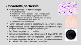 Bordetella pertussis
• Whooping cough – 4 disease stages
• Incubation period
• Prodromal – flu like disease – most contagious stage
• Catarrhal - classic whoop cough in small children
Toxin adheres to bronchial epithelial cells and cough
continues until toxin wears off
• Paroxysmal - recovery phase
• Human pathogen, inhabits nasopharynx (specimen of choice)
• Peripheral blood smear - Lymphocytosis with atypical, large,
irregular and deeply basophilic lymphocytes
• Tiny Gram negative coccobacillus
• Selective media Regan Lowe Charcoal, 3-5 days, 35*C, CO²
• Molecular detection standard of practice / greatest sensitivity
• Vaccinate to prevent (DTaP in children, Tdap in adolescents
and adults. (diphtheria, tetanus, pertussis)
 