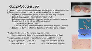 Campylobacter spp.
•C. jejuni – Common cause of diarrhea in US, can progress to bacteremia in HIV
and immune suppressed (C. coli can also cause diarrhea, but less %)
• Ingestion of undercooked poultry or juice contaminating raw food
• Sea gull shaped, poorly staining Gram negative rod
• Culture requires selective blood agar containing antibiotics to suppress
the overgrowth of normal bowel flora organisms
• Campy-BAP or Skirrow’s BAP
• Incubate at 42˚C in microaerophilic atmosphere (high CO₂, low O₂)
• Sequelae of diarrhea infection: Significant % Guillain-Barre syndrome
•C. fetus – Bacteremia in the immune suppressed host
• Source: cattle and sheep in a contaminated environment or food
•Temperature tolerance aids in identification / but MALDI-TOF is best
C. jejuni – grows at 37˚C and 42˚ C, hippurate hydrolysis positive
C. fetus - grows at 37˚C and 25˚C hippurate hydrolysis negative
 