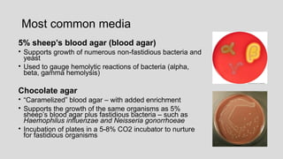 Most common media
5% sheep’s blood agar (blood agar)
• Supports growth of numerous non-fastidious bacteria and
yeast
• Used to gauge hemolytic reactions of bacteria (alpha,
beta, gamma hemolysis)
Chocolate agar
• “Caramelized” blood agar – with added enrichment
• Supports the growth of the same organisms as 5%
sheep’s blood agar plus fastidious bacteria – such as
Haemophilus influenzae and Neisseria gonorrhoeae
• Incubation of plates in a 5-8% CO2 incubator to nurture
for fastidious organisms
 