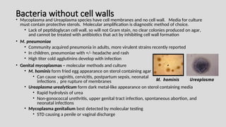 Bacteria without cell walls
• Mycoplasma and Ureaplasma species have cell membranes and no cell wall. Media for culture
must contain protective sterols. Molecular amplification is diagnostic method of choice.
• Lack of peptidoglycan cell wall, so will not Gram stain, no clear colonies produced on agar,
and cannot be treated with antibiotics that act by inhibiting cell wall formation
• M. pneumoniae
• Community acquired pneumonia in adults, more virulent strains recently reported
• In children, pneumoniae with +/- headache and rash
• High titer cold agglutinins develop with infection
• Genital mycoplasmas – molecular methods and culture
• M. hominis form fried egg appearance on sterol containing agar
• Can cause vaginitis, cervicitis, postpartum sepsis, neonatal
infections , pre rupture of membranes
• Ureaplasma urealyticum form dark metal-like appearance on sterol containing media
• Rapid hydrolysis of urea
• Non-gonococcal urethritis, upper genital tract infection, spontaneous abortion, and
neonatal infections
• Mycoplasma genitalium best detected by molecular testing
• STD causing a penile or vaginal discharge
Ureaplasma
M. hominis
 