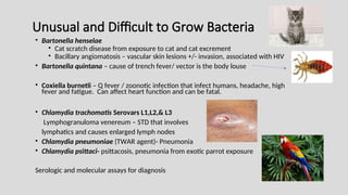Unusual and Difficult to Grow Bacteria
• Bartonella henselae
• Cat scratch disease from exposure to cat and cat excrement
• Bacillary angiomatosis – vascular skin lesions +/- invasion, associated with HIV
• Bartonella quintana – cause of trench fever/ vector is the body louse
• Coxiella burnetii – Q fever / zoonotic infection that infect humans, headache, high
fever and fatigue. Can affect heart function and can be fatal.
• Chlamydia trachomatis Serovars L1,L2,& L3
Lymphogranuloma venereum – STD that involves
lymphatics and causes enlarged lymph nodes
• Chlamydia pneumoniae (TWAR agent)- Pneumonia
• Chlamydia psittaci- psittacosis, pneumonia from exotic parrot exposure
Serologic and molecular assays for diagnosis
 