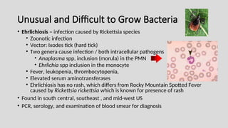 Unusual and Difficult to Grow Bacteria
• Ehrlichiosis – infection caused by Rickettsia species
• Zoonotic infection
• Vector: Ixodes tick (hard tick)
• Two genera cause infection / both intracellular pathogens
• Anaplasma spp, inclusion (morula) in the PMN
• Ehrlichia spp inclusion in the monocyte
• Fever, leukopenia, thrombocytopenia,
• Elevated serum aminotransferases
• Ehrlichiosis has no rash, which differs from Rocky Mountain Spotted Fever
caused by Rickettsia rickettsia which is known for presence of rash
• Found in south central, southeast , and mid-west US
• PCR, serology, and examination of blood smear for diagnosis
 