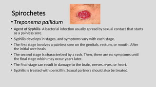 Spirochetes
•Treponema pallidum
• Agent of Syphilis- A bacterial infection usually spread by sexual contact that starts
as a painless sore.
• Syphilis develops in stages, and symptoms vary with each stage.
• The first stage involves a painless sore on the genitals, rectum, or mouth. After
the initial sore heals
• The second stage is characterized by a rash. Then, there are no symptoms until
the final stage which may occur years later.
• The final stage can result in damage to the brain, nerves, eyes, or heart.
• Syphilis is treated with penicillin. Sexual partners should also be treated.
 