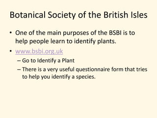 Botanical Society of the British IslesOne of the main purposes of the BSBI is to help people learn to identify plants.www.bsbi.org.ukGo to Identify a PlantThere is a very useful questionnaire form that tries to help you identify a species.