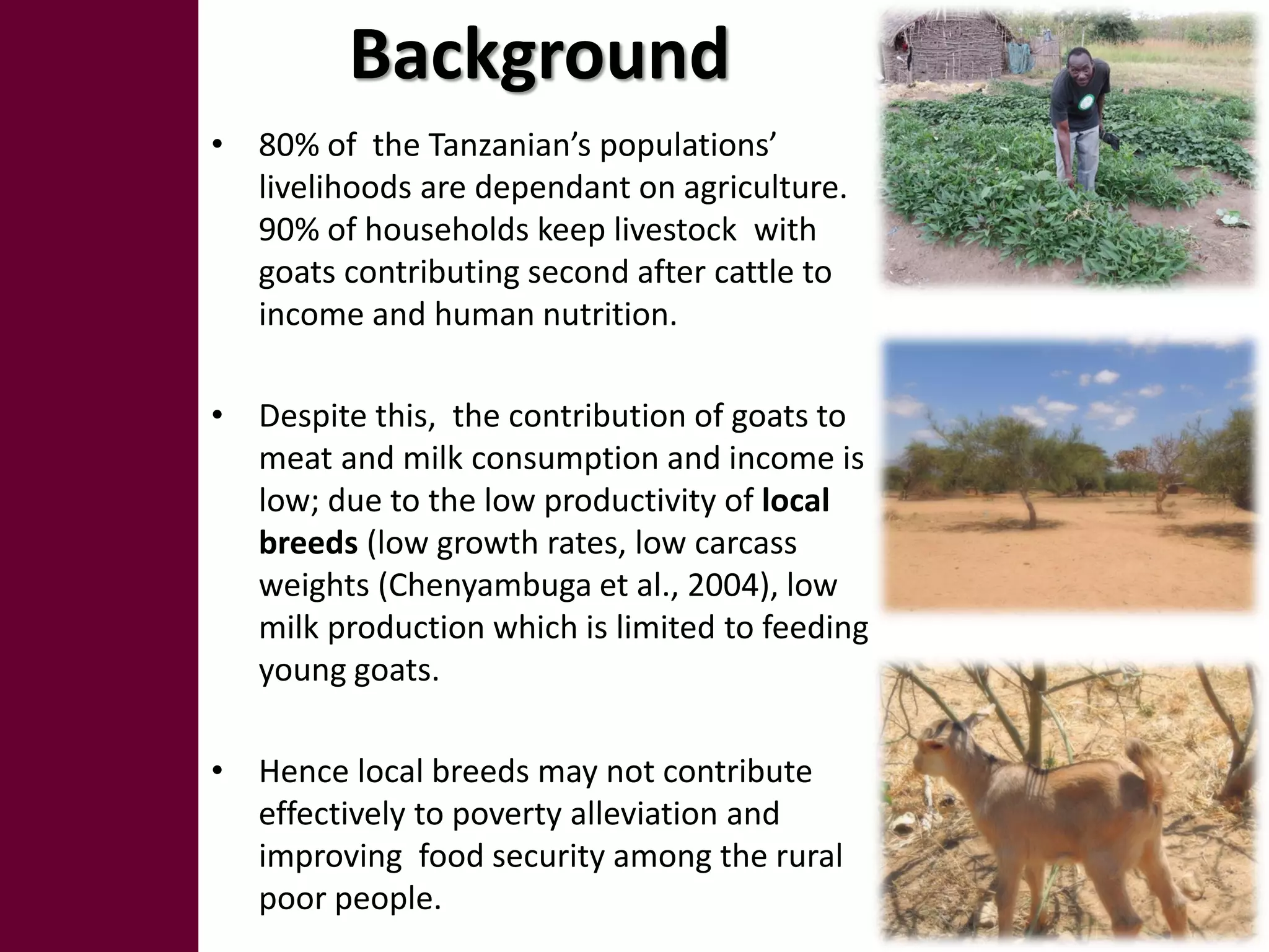 Background
• 80% of the Tanzanian’s populations’
  livelihoods are dependant on agriculture.
  90% of households keep livestock with
  goats contributing second after cattle to
  income and human nutrition.

• Despite this, the contribution of goats to
  meat and milk consumption and income is
  low; due to the low productivity of local
  breeds (low growth rates, low carcass
  weights (Chenyambuga et al., 2004), low
  milk production which is limited to feeding
  young goats.

• Hence local breeds may not contribute
  effectively to poverty alleviation and
  improving food security among the rural
  poor people.
 