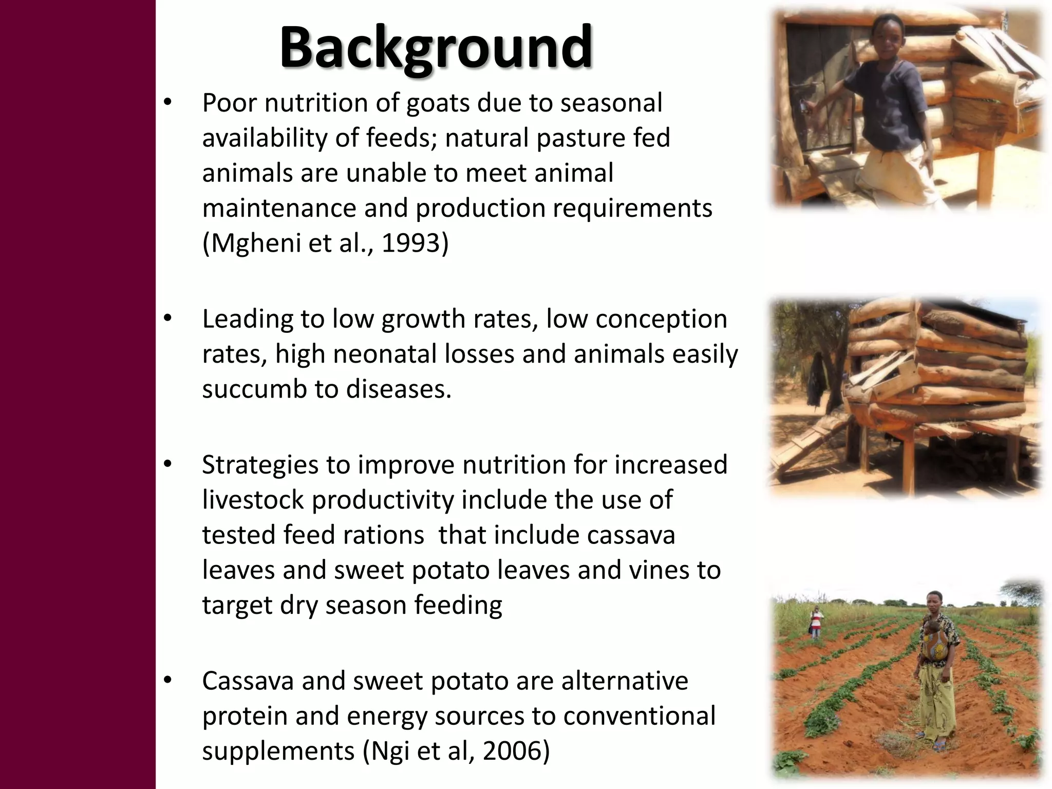 Background
• Poor nutrition of goats due to seasonal
  availability of feeds; natural pasture fed
  animals are unable to meet animal
  maintenance and production requirements
  (Mgheni et al., 1993)

• Leading to low growth rates, low conception
  rates, high neonatal losses and animals easily
  succumb to diseases.

• Strategies to improve nutrition for increased
  livestock productivity include the use of
  tested feed rations that include cassava
  leaves and sweet potato leaves and vines to
  target dry season feeding

• Cassava and sweet potato are alternative
  protein and energy sources to conventional
  supplements (Ngi et al, 2006)
 