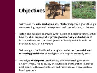 Developing a web-based monitoring and evaluation system: Crop Goat Project in Tanzania