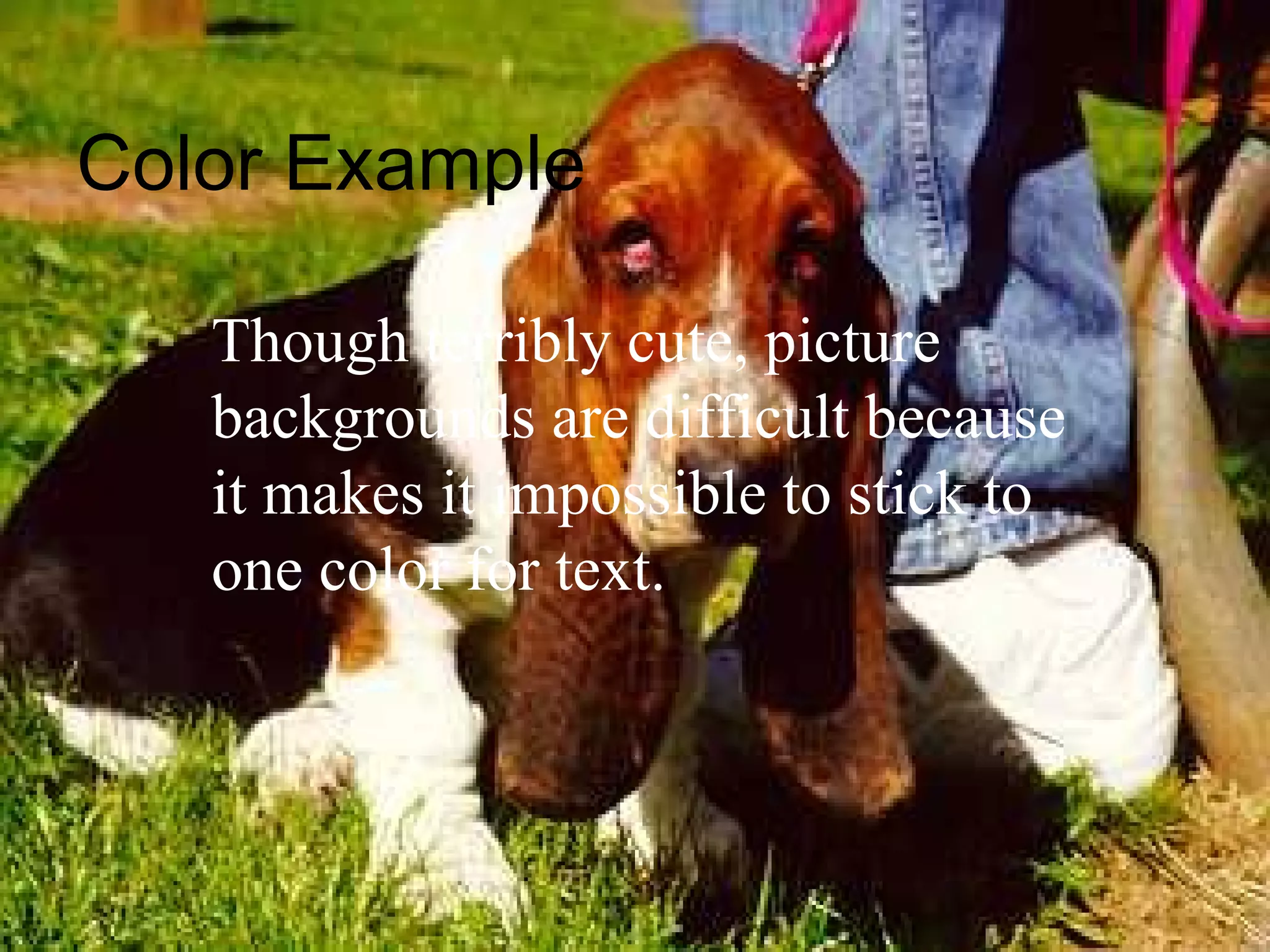 Color Example

   Though terribly cute, picture
   backgrounds are difficult because
   it makes it impossible to stick to
   one color for text.
 