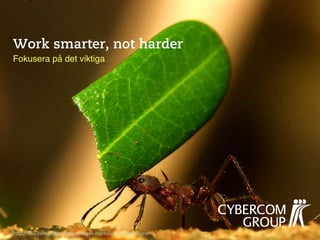 Work smarter, not harder
Fokusera på det viktiga!




h"p://vilaj.com.br/formigas-­‐inimigas-­‐mortais-­‐dos-­‐eletronicos/	
  
 