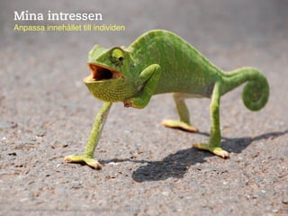 Mina intressen
 Anpassa innehållet till individen!




h"p://askhamreblogg.ﬁles.wordpress.com/2010/11/dsc_0043.jpg	
  
 